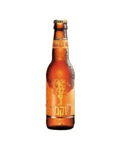 שקמה אמבר אייל
