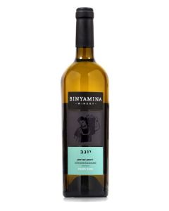 בנימינה יוגב רוסאן מרסאן